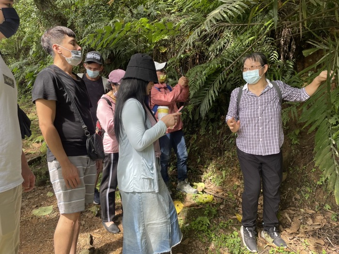 佐倉步道動植物解說